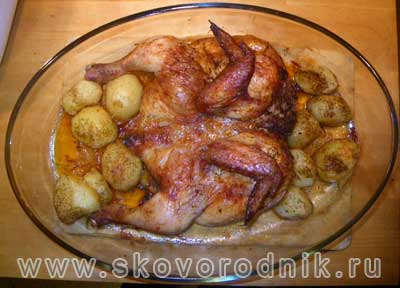 запеченый цыпленок с картофелем в духовке